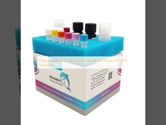 Chloramphenicol CAP Rapid Test Kit para tecido Sensibilidade 0,05 PPB